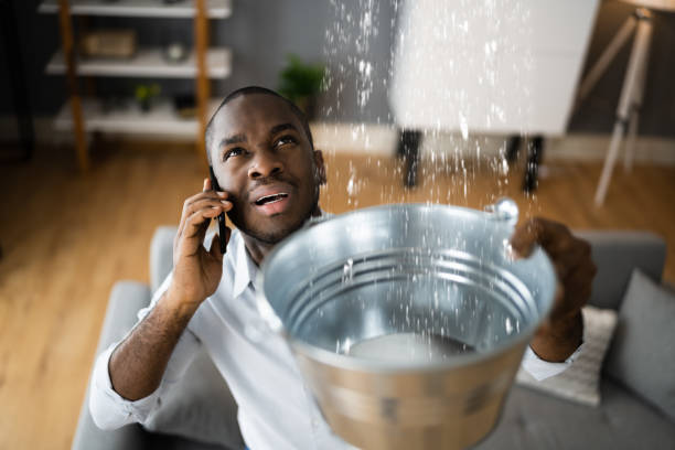 Best Water damage restoration services  in Dry Run, OH