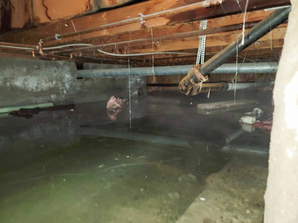 Dry Run, OH Water damage restoration Company