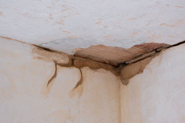 Best Flood restoration services  in Dry Run, OH
