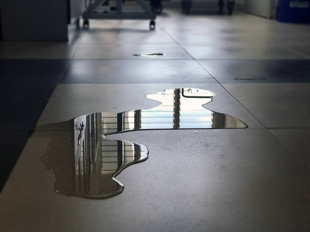 Best 24/7 water damage repair  in Dry Run, OH