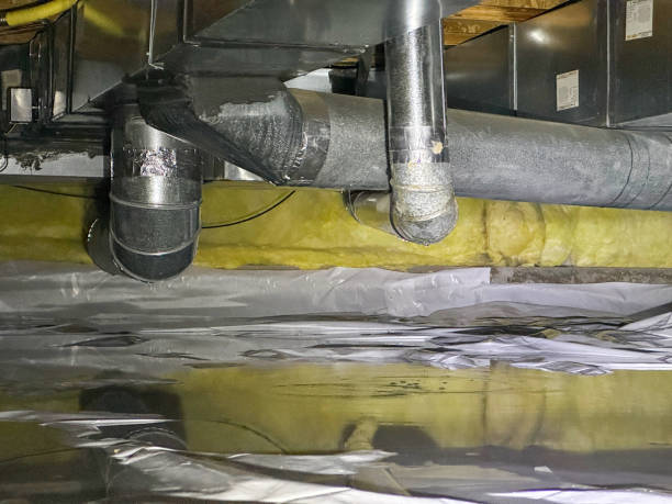 Best Ceiling water damage repair  in Dry Run, OH