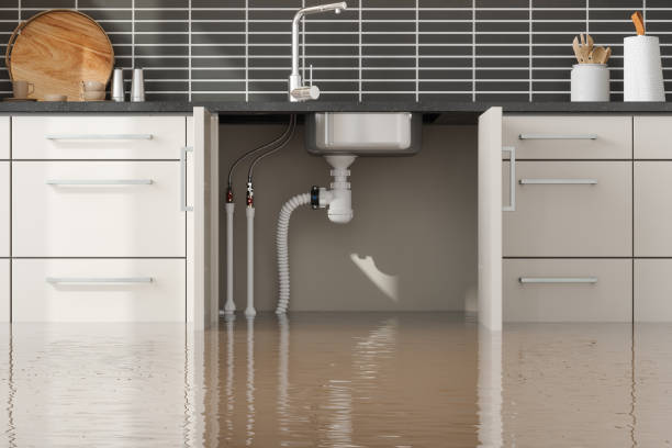  Dry Run, OH Water damage restoration Pros