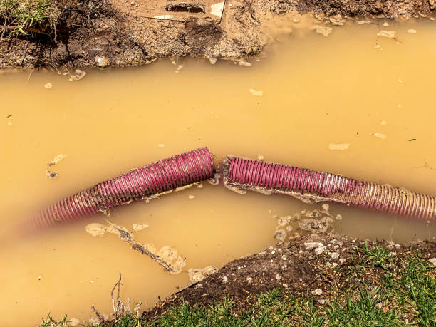 Best Professional water damage repair  in Dry Run, OH