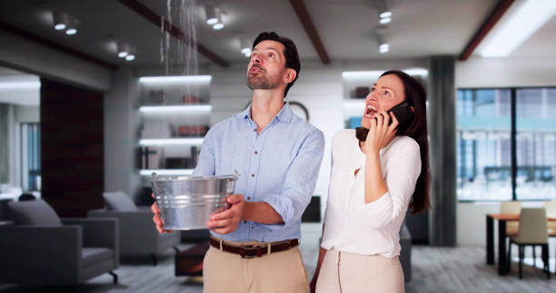 Best Water damage cleanup near me  in Dry Run, OH