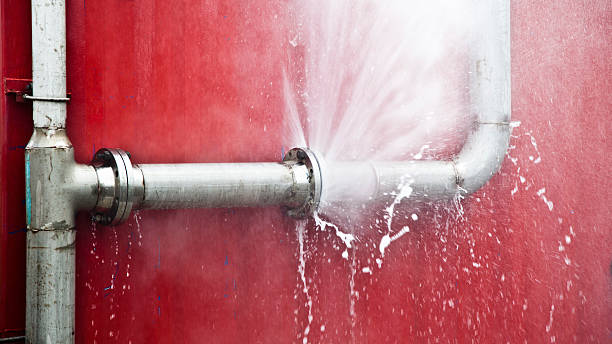 Best Water damage restoration near me  in Dry Run, OH